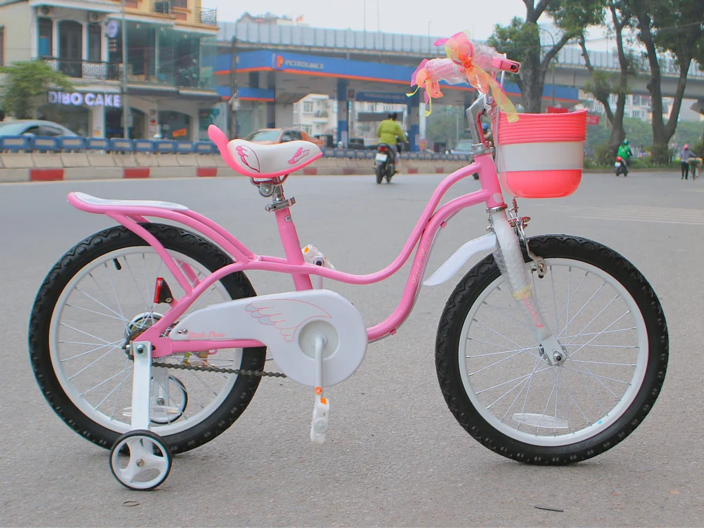Xe đạp Royal Baby RB-18 - mua xe đạp cho bé gái 6 tuổi