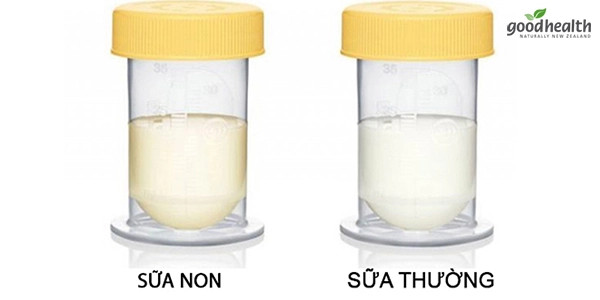 Hình ảnh minh họa sữa non, thành phần quan trọng trong sữa Colosbaby giúp tăng cường miễn dịch cho trẻ