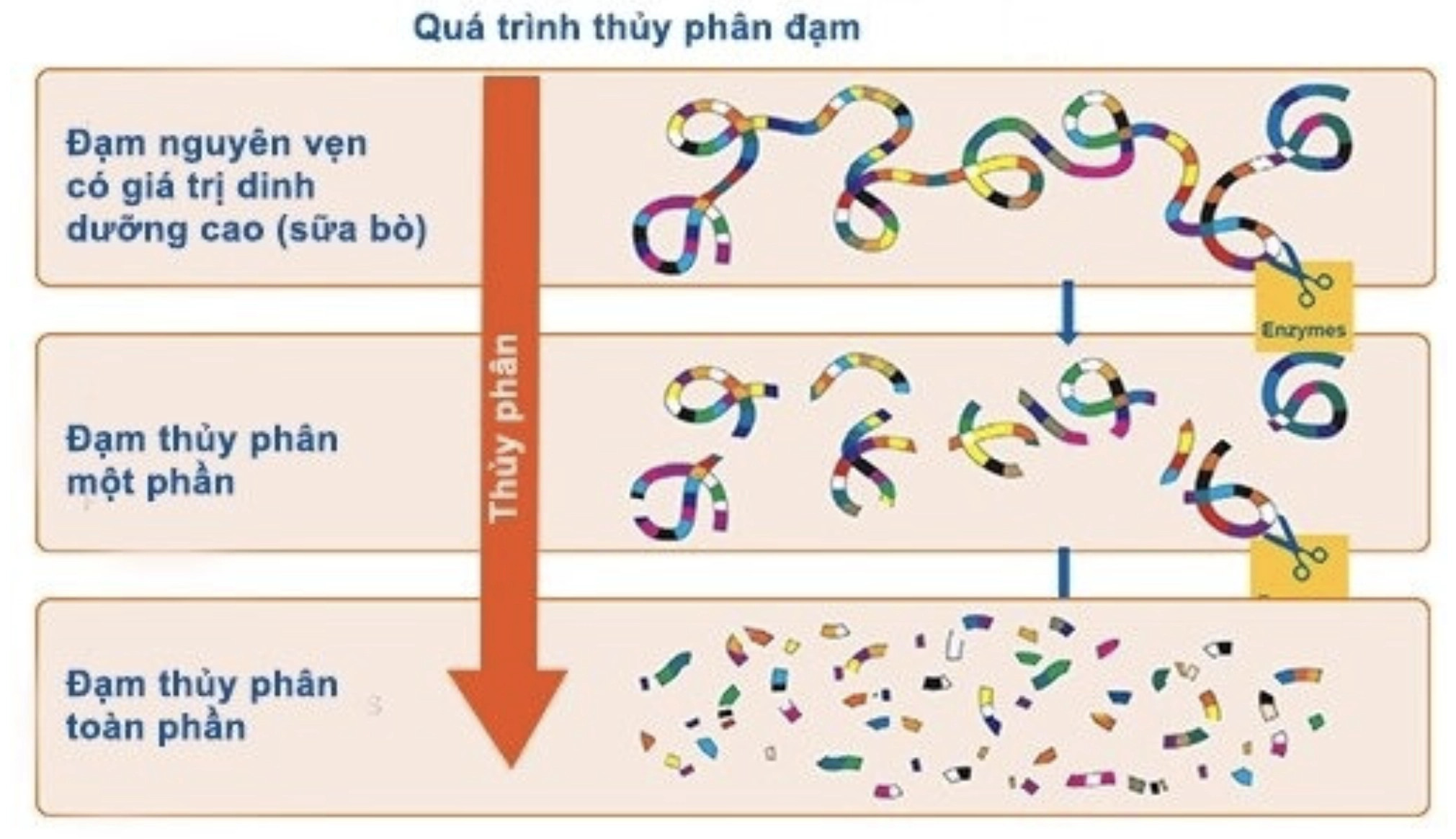 Hộp sữa Enfa Nutramigen A+ LGG, loại sữa công thức thủy phân dành cho trẻ dị ứng đạm sữa bò