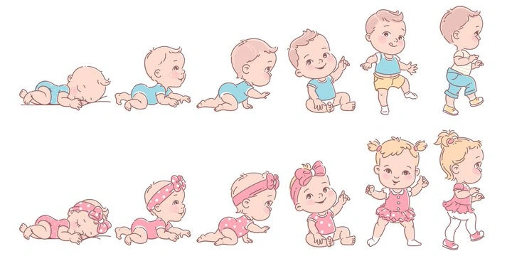 Các loại Sữa Nan và công dụng cụ thể