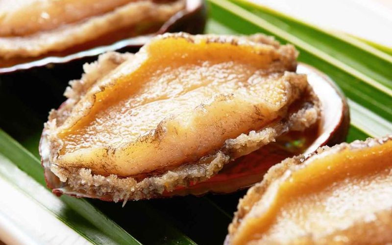 Bé mấy tháng ăn được bào ngư giúp hỗ trợ trí não, tăng cường miễn dịch và phát triển thể chất