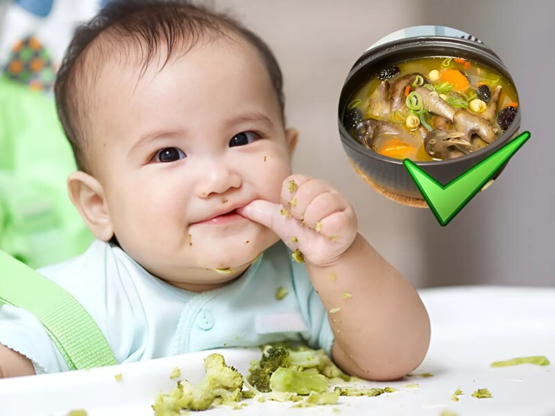 Bé mấy tháng tuổi có thể ăn chim bồ câu hầm, một món ngon bổ dưỡng cho sự phát triển của bé