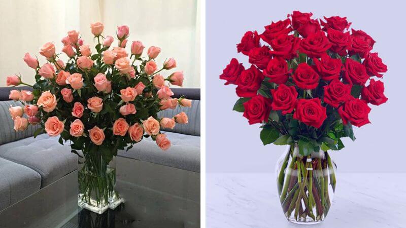 Hoa Hồng Trong Lọ Thủy Tinh: Biểu Tượng Và Cách Chăm Sóc Đúng Cách