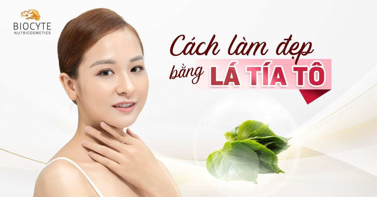 Cách làm đẹp bằng lá tía tô hiệu quả