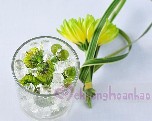 Chuẩn bị hạt tinh thể và hoa cúc xanh để bắt đầu cách cắm hoa trong ly thủy tinh