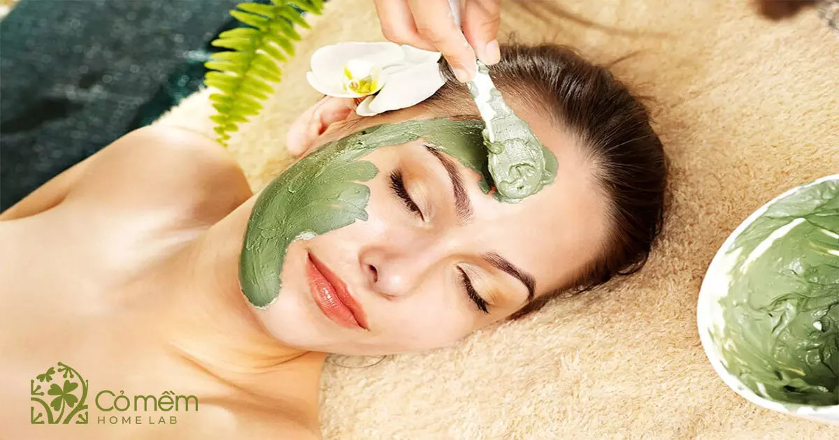 Chuẩn bị nguyên liệu lá tía tô tươi để làm mặt nạ tại nhà