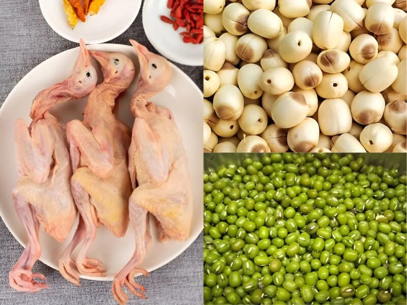 Công thức cách hầm chim bồ câu ngon cho bé với hạt sen và đậu xanh, tăng cường dinh dưỡng và hương vị thơm ngon
