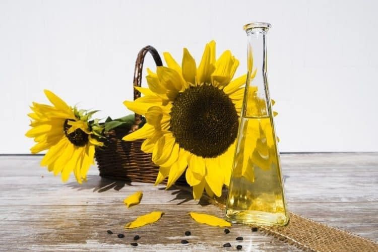 Dầu hướng dương, chứa nhiều axit linoleic, được khuyến nghị cho da nhạy cảm của bé.