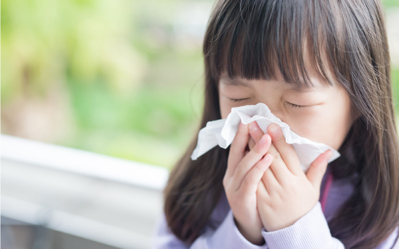 Dầu tràm giúp hỗ trợ điều trị các vấn đề về hô hấp