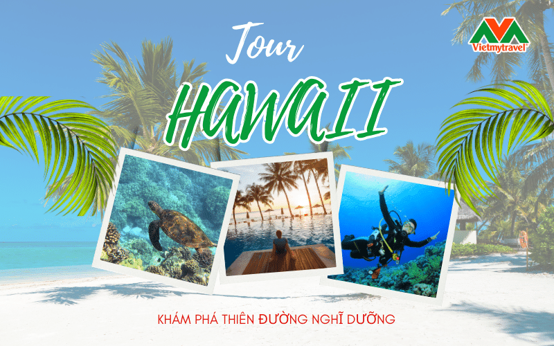 Lịch Làm Việc Bệnh Viện Hùng Vương Chi Tiết & Hướng Dẫn Đăng Ký