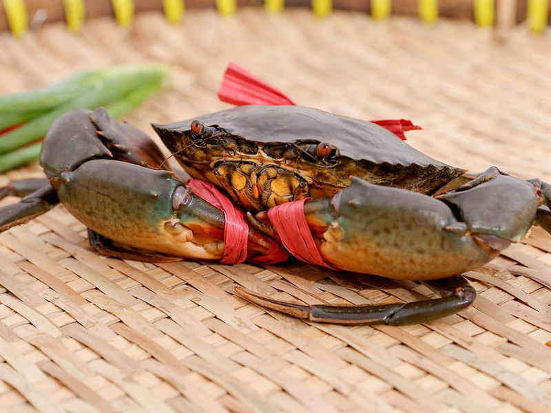 Em bé ngồi ăn súp cua ngon miệng trên bàn ăn dặm
