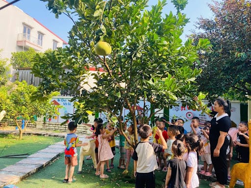 Trẻ mầm non quan sát cây cối, khám phá thiên nhiên trong các trò chơi hoạt động ngoài trời