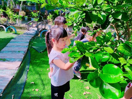 Trẻ hứng thú sưu tầm lá cây, một trò chơi hoạt động ngoài trời giúp phát triển kỹ năng quan sát và phân loại