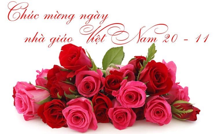 Chúc Mừng Ngày Nhà Giáo Việt Nam 20 11: Ý Nghĩa Sâu Sắc và Lòng Tri Ân