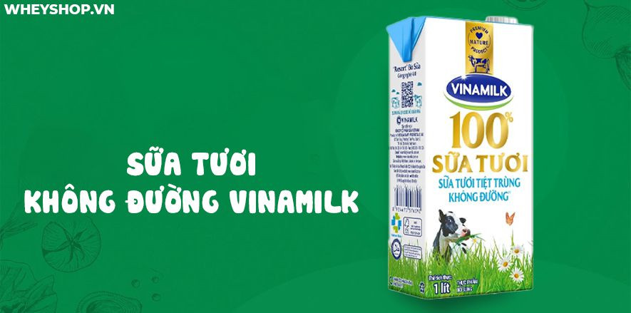 Ly sữa tươi không đường Vinamilk bao nhiêu calo được nhiều người quan tâm