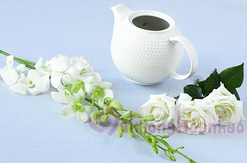 Nguyên vật liệu cần thiết để cắm hoa lan và hoa hồng trắng