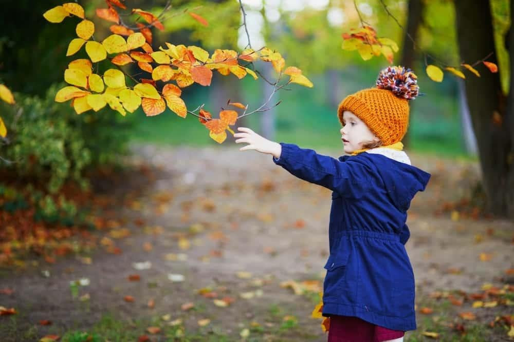 Những tên tiếng Pháp hay cho nữ giới mang vẻ đẹp sang trọng