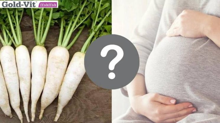 Phụ nữ mang thai 3 tháng đầu có thể ăn củ cải trắng với lượng vừa phải