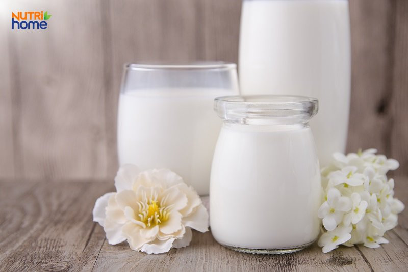 Sữa và các chế phẩm từ sữa, nguồn axit folic quan trọng cho mẹ bầu