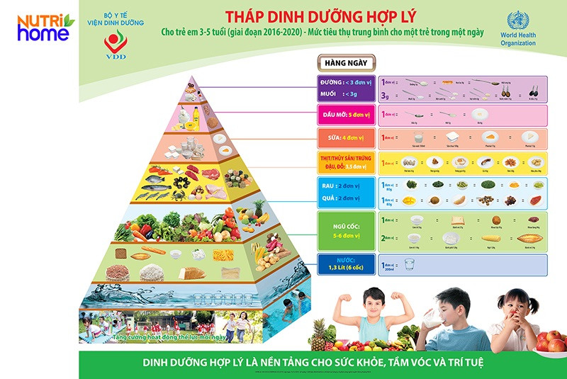 Tham khảo tháp dinh dưỡng cho bé 3 tuổi biếng ăn