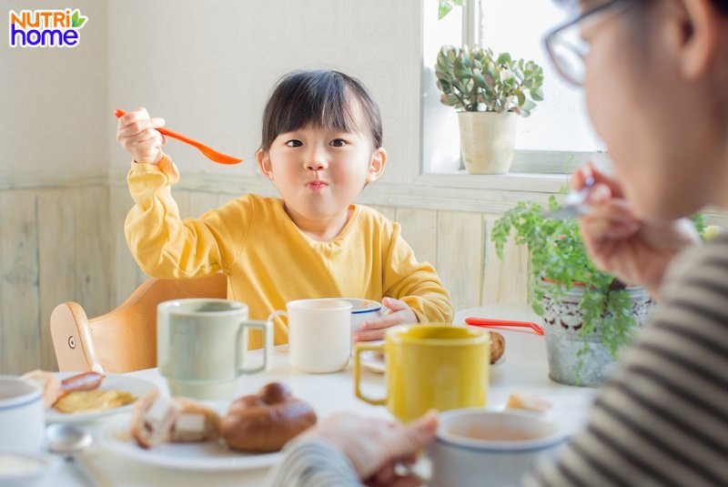 Thực đơn bữa trưa đa dạng cho bé 3 tuổi biếng ăn