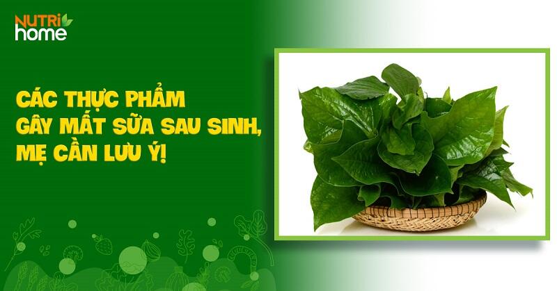 Những Thực Phẩm Gây Mất Sữa Mẹ Cần Tránh Để Đảm Bảo Nguồn Sữa