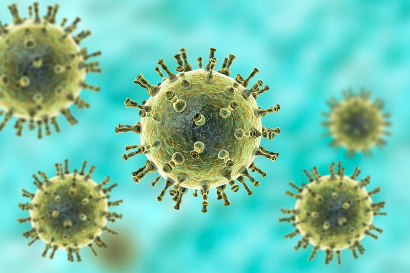 Virus Varicella Zoster - nguyên nhân chính gây bệnh thủy đậu ở trẻ sơ sinh và trẻ nhỏ