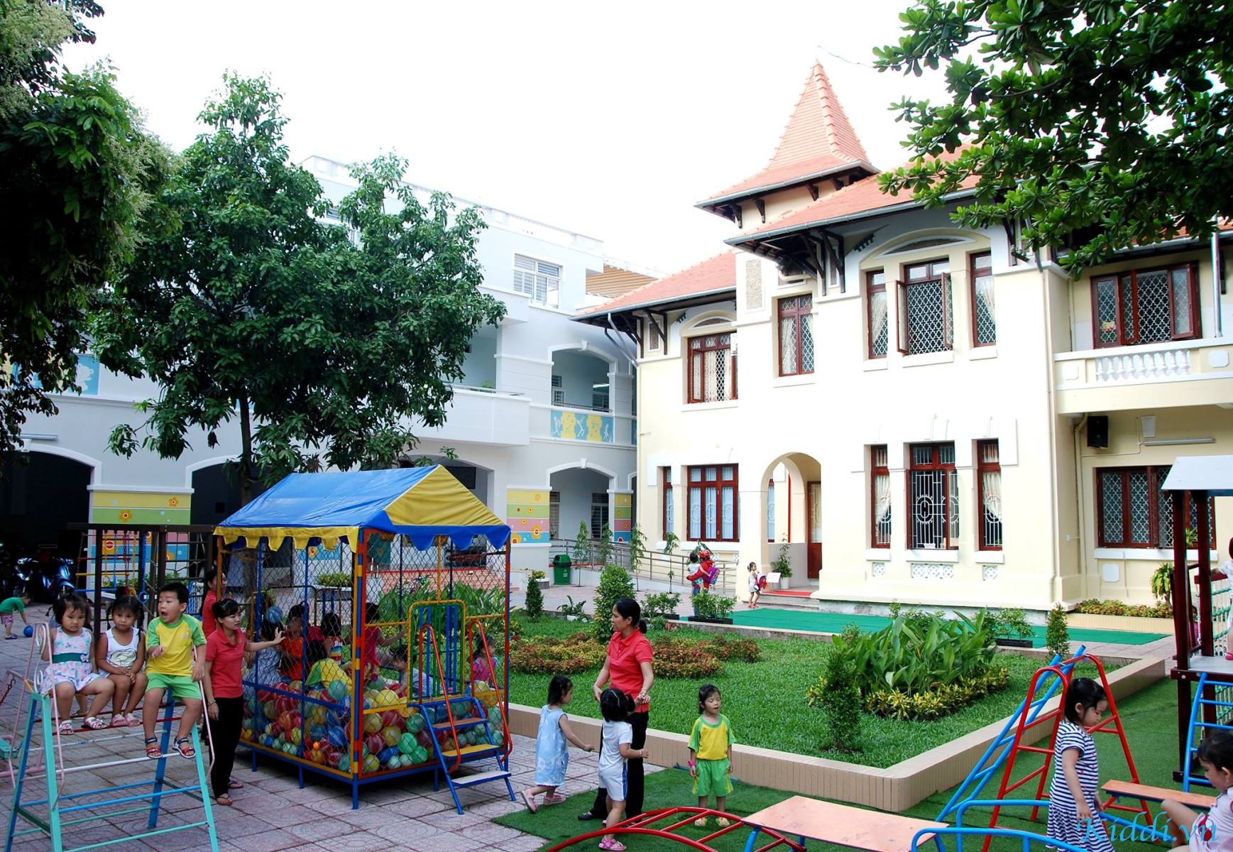 Review Mầm Non Hoa Mai Quận 3 Mới Nhất: Đánh Giá Toàn Diện