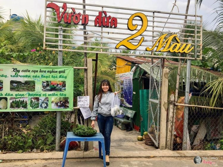 Vườn dừa 2 màu độc đáo với các hoạt động trải nghiệm miền Tây ở Quận 12