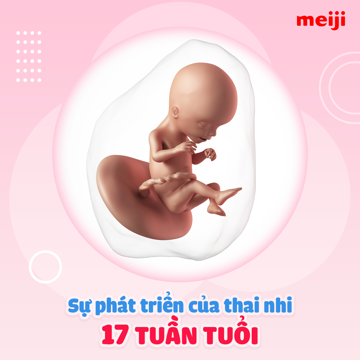 Thai 17 Tuần Nặng Bao Nhiêu Gam: Cẩm Nang Toàn Diện Về Sự Phát Triển Của Bé Và Mẹ