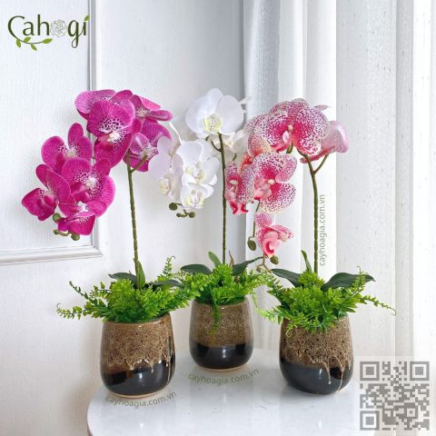 Cách Cắm Hoa Lan Hồ Điệp Giả Đẹp Mắt, Chuẩn Phong Thủy