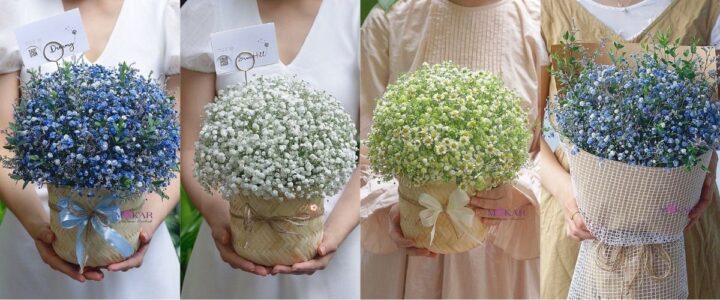 Rổ hoa baby trắng tròn đầy, tinh khôi mừng Ngày Phụ nữ Việt Nam
