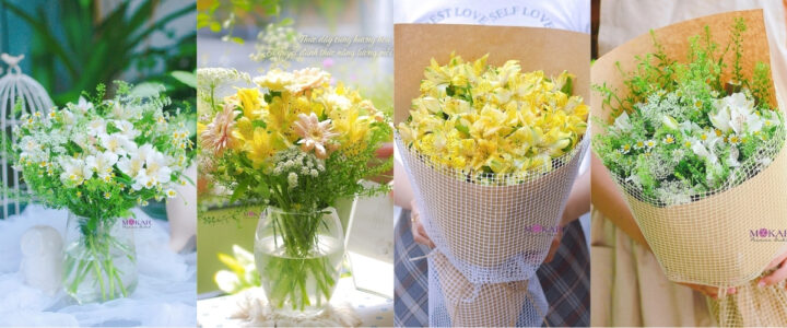 Bó hoa thủy tiên vàng rực rỡ, tinh khôi mừng Ngày Phụ nữ Việt Nam