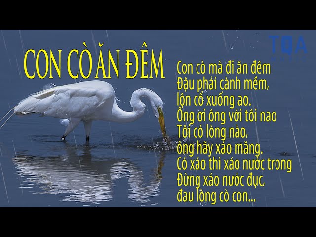 Những Bài Hát Ru Con Bắc Bộ Hay Nhất: Khúc Hát Trọn Vẹn Yêu Thương - image 2