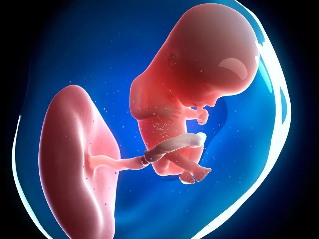 Mẹ Bầu Ăn Cà Tím Được Không? Chuyên Gia Giải Đáp Chi Tiết Mẹ Bầu Ăn Cà Tím Được Không? Chuyên Gia Giải Đáp Chi Tiết