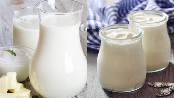 Cách Làm Sữa Chua Tại Nhà Bằng Sữa Tươi Chuẩn Vị, Mịn Ngon