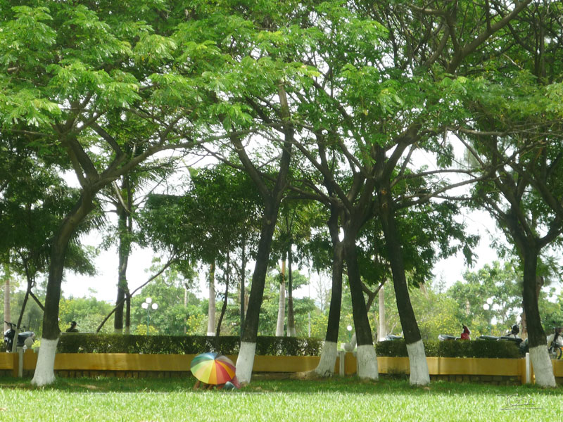 Công Viên Thiếu Nhi Quy Nhơn: Điểm Đến Vui Chơi Và Tương Lai Phát Triển