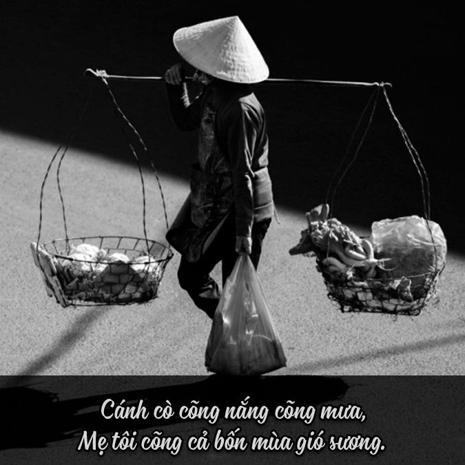 Tổng Hợp Các Câu Ca Dao Tục Ngữ Về Mẹ: Tình Mẫu Tử Thiêng Liêng