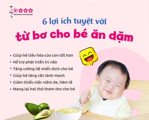 Cách Chế Biến Quả Bơ Cho Bé Ăn Dặm Ngon Miệng, Dễ Hấp Thu