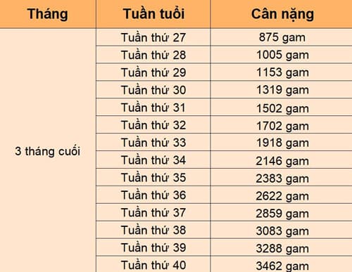 Cân nặng thai nhi 29 tuần: Tiêu chuẩn và yếu tố ảnh hưởng