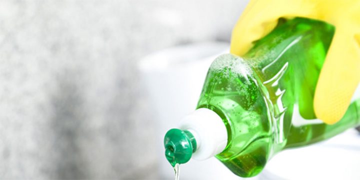 Cách Đuổi Muỗi Hiệu Quả Nhất Bảo Vệ Sức Khỏe Gia Đình