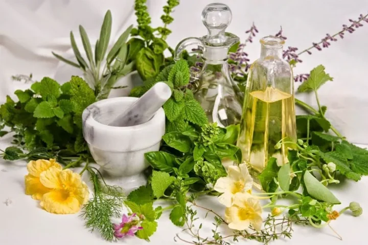 Mỹ Phẩm Thuần Chay Là Gì? Giải Mã Xu Hướng Làm Đẹp Bền Vững - image 3