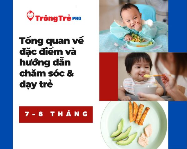 Dạy trẻ 8 tháng tuổi những gì: Hướng dẫn phát triển toàn diện