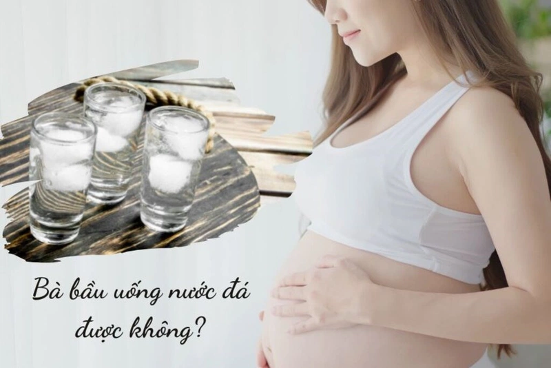 Bầu Uống Nước Đá Được Không? Phân Tích Chuyên Sâu Từ A-Z