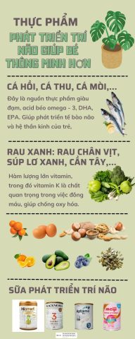 Những Thực Phẩm Giúp Tăng Trí Thông Minh Hiệu Quả Nhất