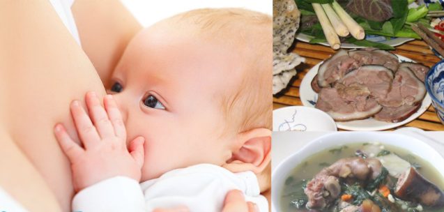 Bà Đẻ Ăn Được Thịt Chó Không? Lợi Ích Và Rủi Ro Cần Biết