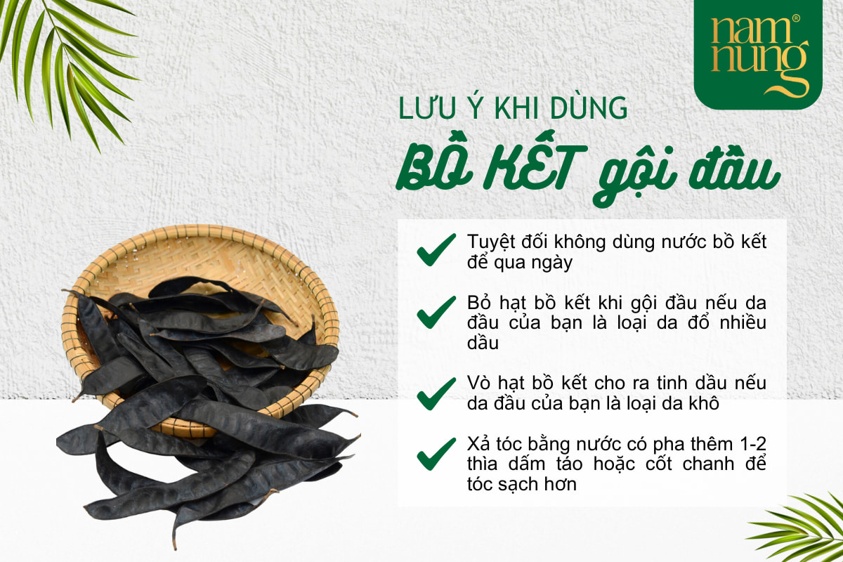 Bồ kết và hương nhu phơi khô, phương pháp cổ truyền phát huy tác dụng của bồ kết với tóc