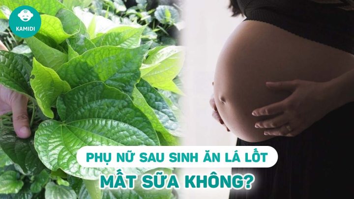 Sau Sinh Ăn Lá Lốt Được Không? Chuyên Gia Giải Đáp Chi Tiết
