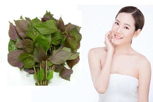 Lá Tía Tô Đắp Mặt Nạ: Bí Quyết Dưỡng Da Toàn Diện Từ Thiên Nhiên