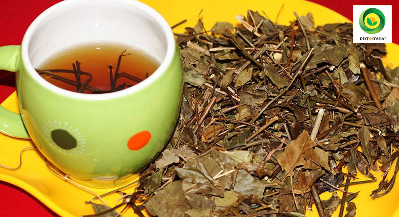 Sơ đồ minh họa hệ tuần hoàn khỏe mạnh, thể hiện lợi ích khi uống nước chè vằng hỗ trợ tim mạch